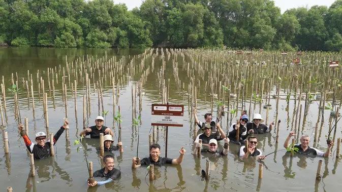 Program Roots of Hope Tanam 1.600 Mangrove di Bekasi dan Angke Kapuk